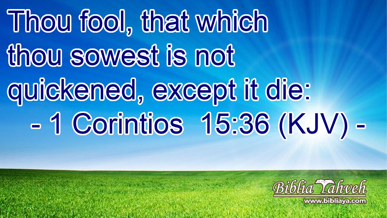 Thou fool, that which thou sowest is not quickened, except it die: