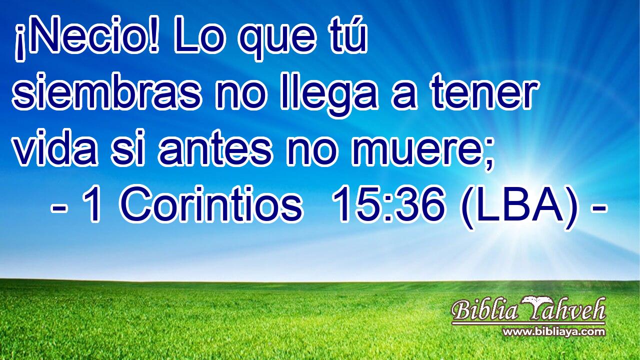 ¡Necio! Lo que tú siembras no llega a tener vida si antes no muere;