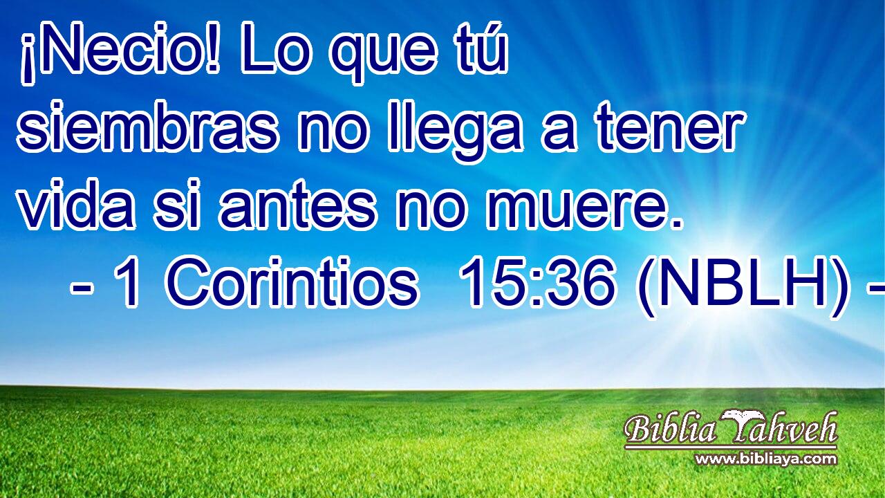  ¡Necio! Lo que tú siembras no llega a tener vida si antes no muere. 