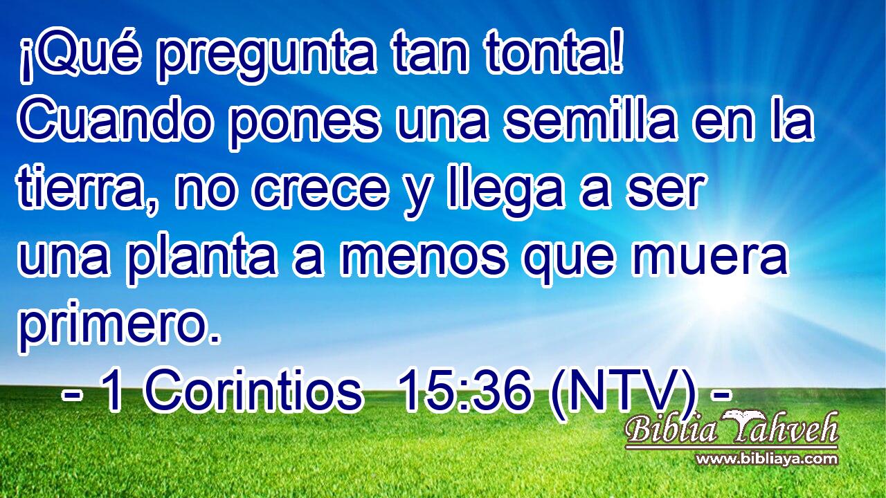 ¡Qué pregunta tan tonta! Cuando pones una semilla en la tierra, no crece y llega a ser una planta a menos que muera primero.