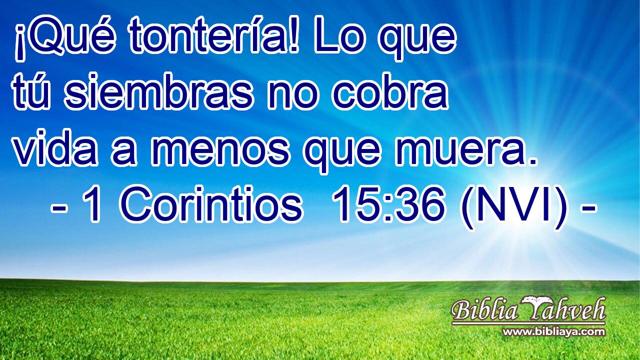  ¡Qué tontería! Lo que tú siembras no cobra vida a menos que muera. 