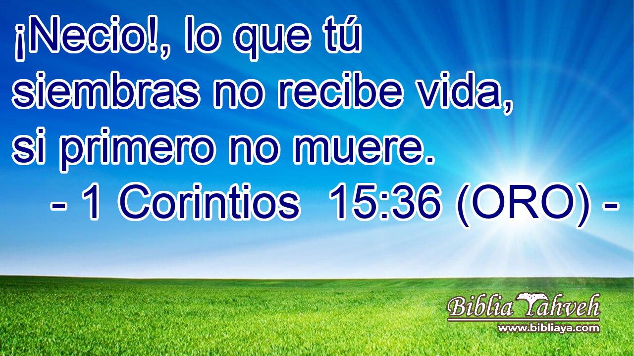  ¡Necio!, lo que tú siembras no recibe vida, si primero no muere. 