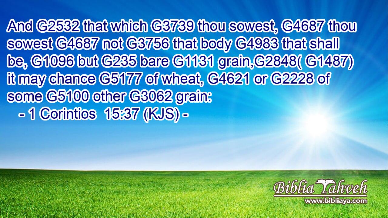 And G2532 that which G3739 thou sowest, G4687 thou sowest G4687 not G3756 that body G4983 that shall be, G1096 but G235 bare G1131 grain,G2848( G1487) it may chance G5177 of wheat, G4621 or G2228 of some G5100 other G3062 grain: