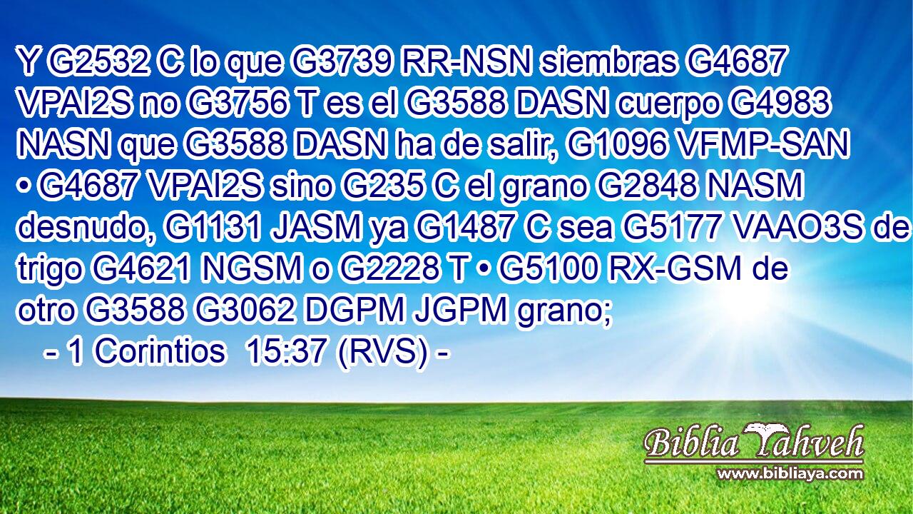 Y G2532 C lo que G3739 RR-NSN siembras G4687 VPAI2S no G3756 T es el G3588 DASN cuerpo G4983 NASN que G3588 DASN ha de salir, G1096 VFMP-SAN • G4687 VPAI2S sino G235 C el grano G2848 NASM desnudo, G1131 JASM ya G1487 C sea G5177 VAAO3S de trigo G4621 NGSM o G2228 T • G5100 RX-GSM de otro G3588 G3062 DGPM JGPM grano; 