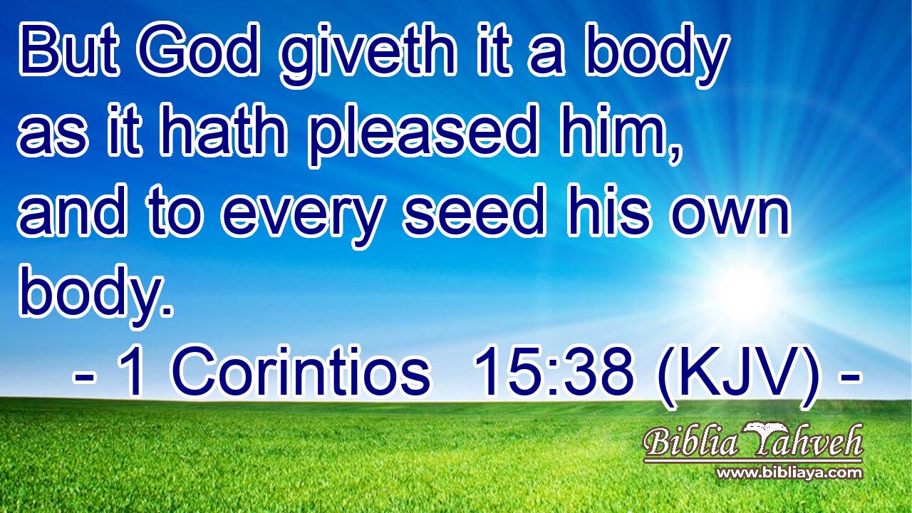 But God giveth it a body as it hath pleased him, and to every seed his own body.