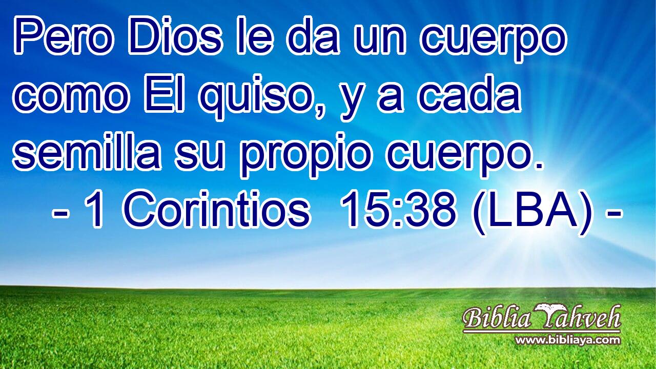 Pero Dios le da un cuerpo como El quiso, y a cada semilla su propio cuerpo.