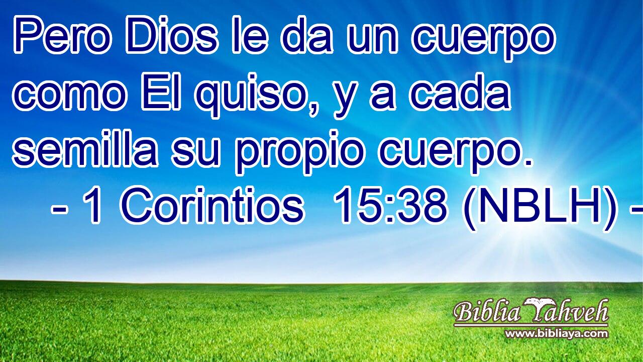  Pero Dios le da un cuerpo como El quiso, y a cada semilla su propio cuerpo. 