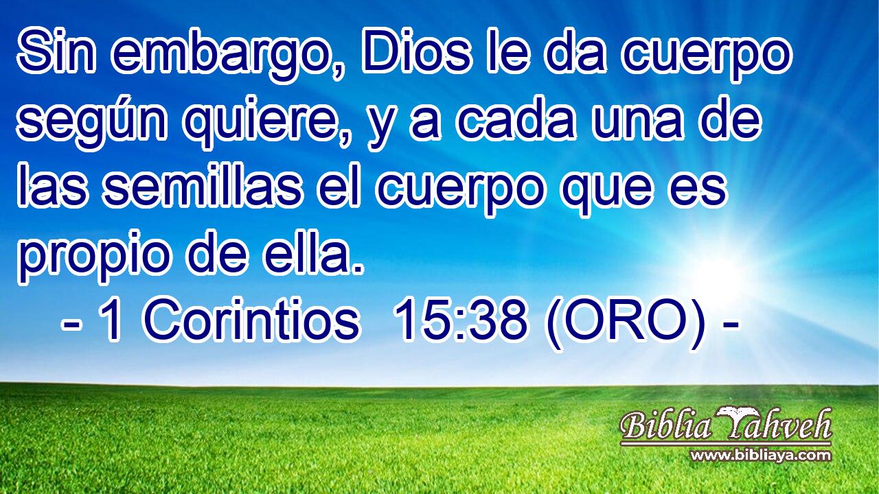 Sin embargo, Dios le da cuerpo según quiere, y a cada una de las semillas el cuerpo que es propio de ella. 