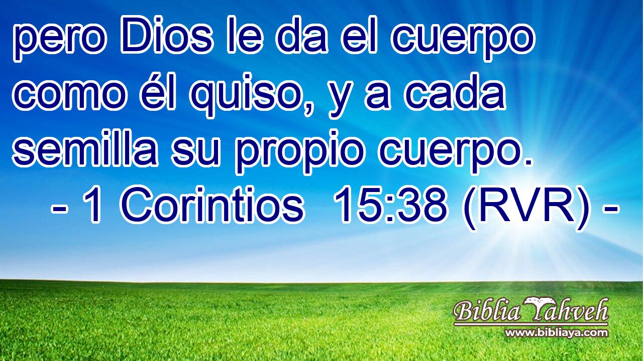 pero Dios le da el cuerpo como él quiso, y a cada semilla su propio cuerpo.
