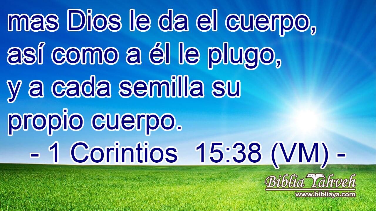  mas Dios le da el cuerpo, así como a él le plugo, y a cada semilla su propio cuerpo. 