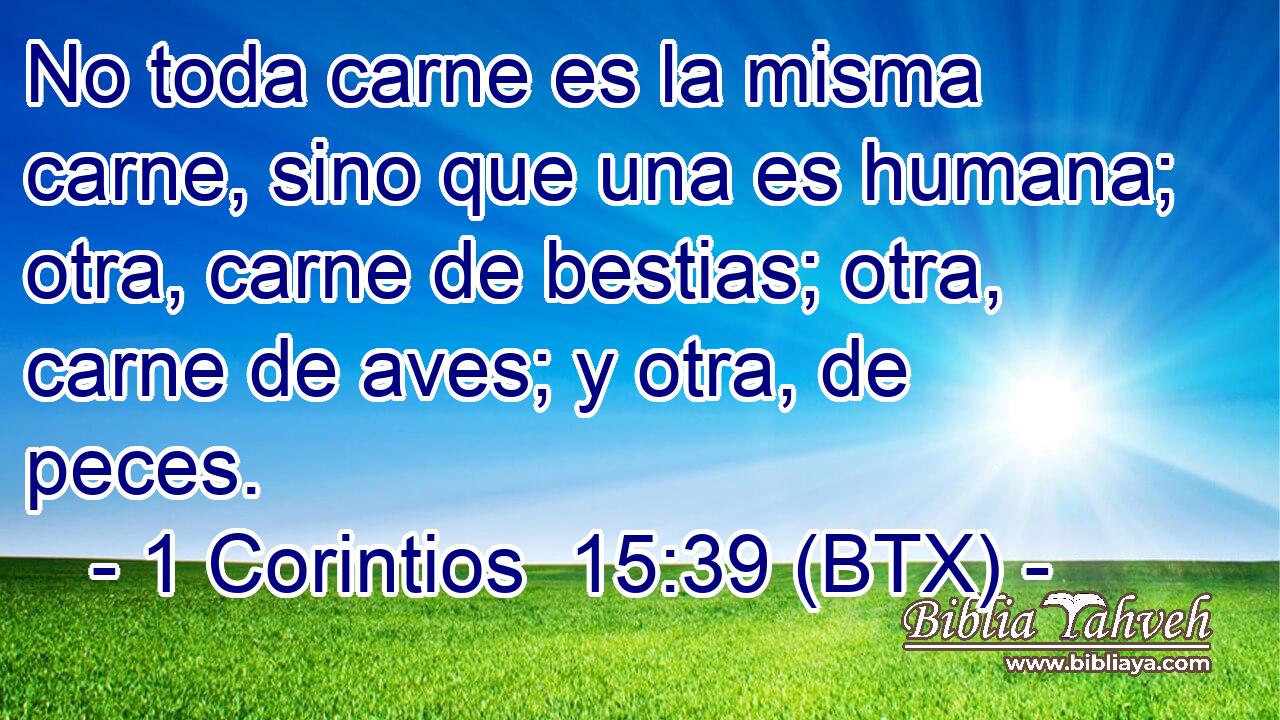 No toda carne es la misma carne, sino que una es humana; otra, carne de bestias; otra, carne de aves; y otra, de peces.