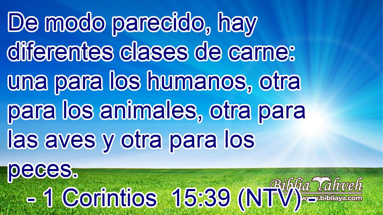 De modo parecido, hay diferentes clases de carne: una para los humanos, otra para los animales, otra para las aves y otra para los peces.