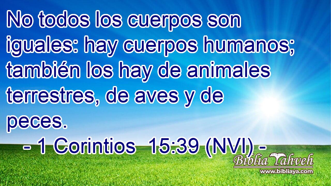  No todos los cuerpos son iguales: hay cuerpos humanos; también los hay de animales terrestres, de aves y de peces. 
