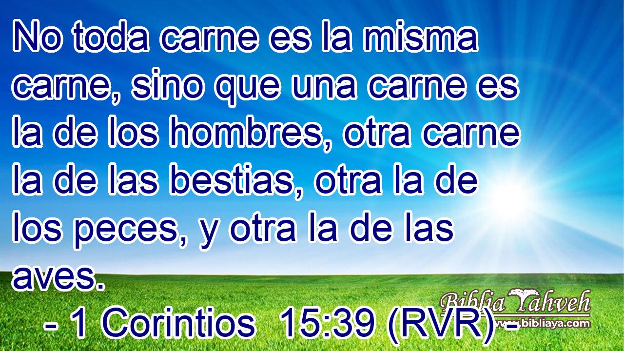 No toda carne es la misma carne, sino que una carne es la de los hombres, otra carne la de las bestias, otra la de los peces, y otra la de las aves.