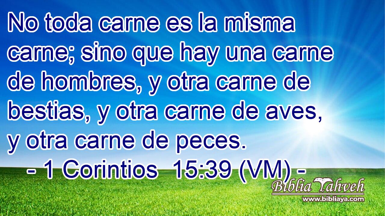 No toda carne es la misma carne; sino que hay una carne de hombres, y otra carne de bestias, y otra carne de aves, y otra carne de peces. 
