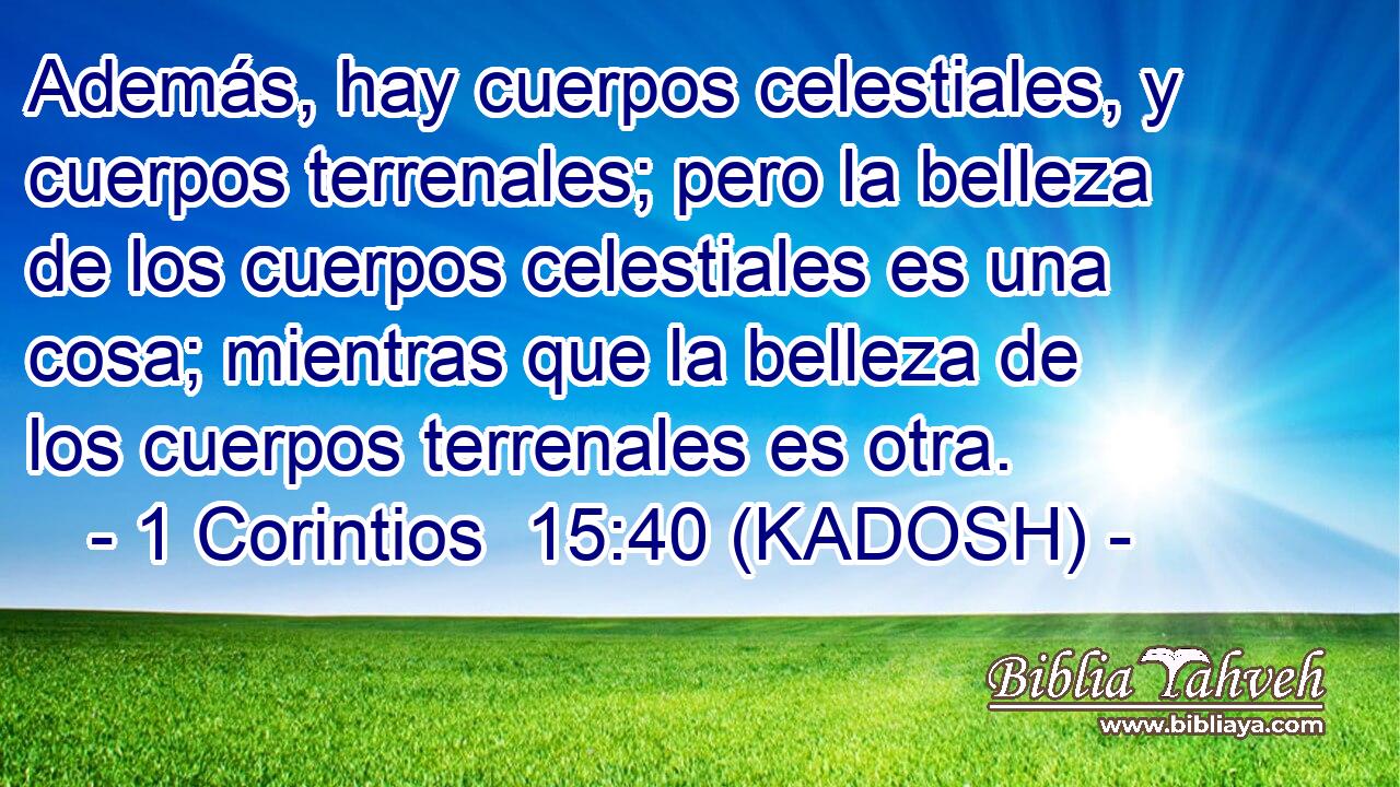  Además, hay cuerpos celestiales, y cuerpos terrenales; pero la belleza de los cuerpos celestiales es una cosa; mientras que la belleza de los cuerpos terrenales es otra. 