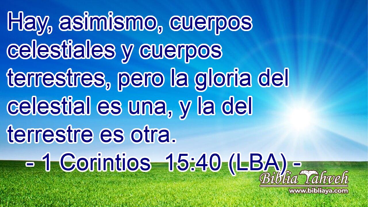 Hay, asimismo, cuerpos celestiales y cuerpos terrestres, pero la gloria del celestial es una, y la del terrestre es otra.