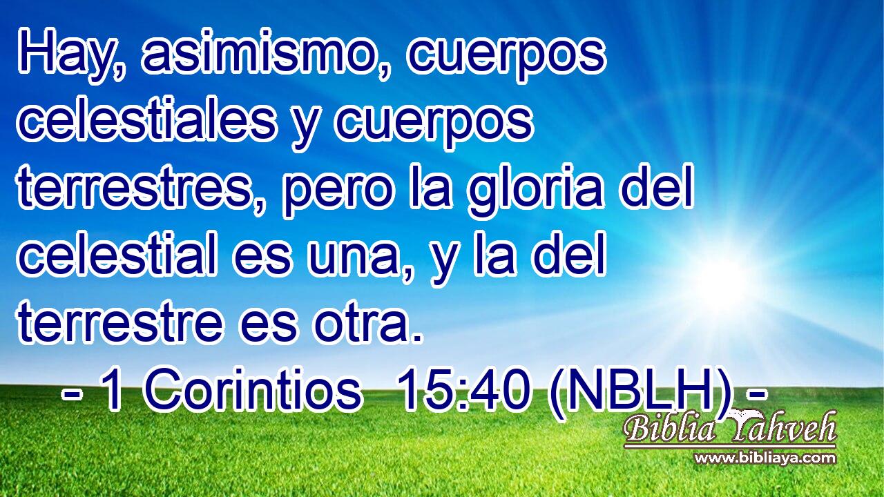  Hay, asimismo, cuerpos celestiales y cuerpos terrestres, pero la gloria del celestial es una, y la del terrestre es otra. 