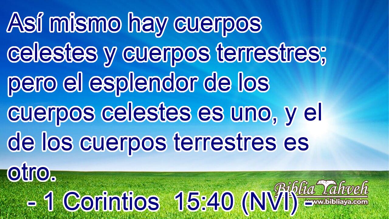  Así mismo hay cuerpos celestes y cuerpos terrestres; pero el esplendor de los cuerpos celestes es uno, y el de los cuerpos terrestres es otro. 