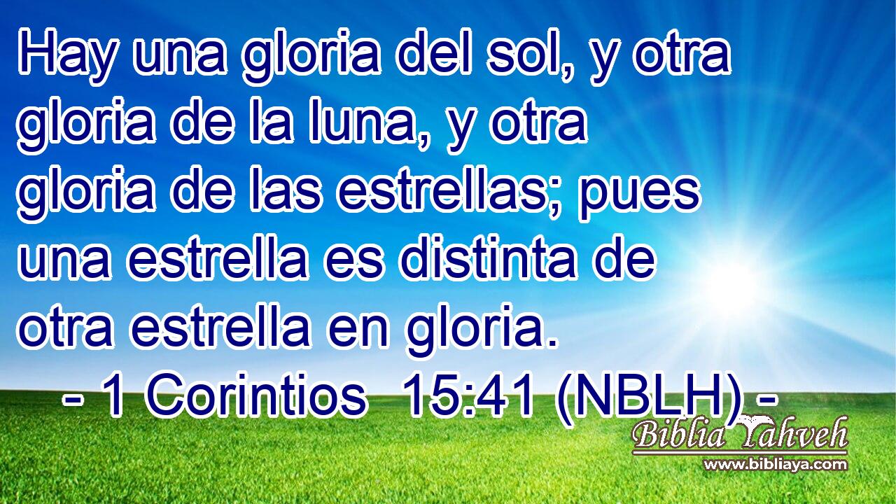  Hay una gloria del sol, y otra gloria de la luna, y otra gloria de las estrellas; pues una estrella es distinta de otra estrella en gloria. 