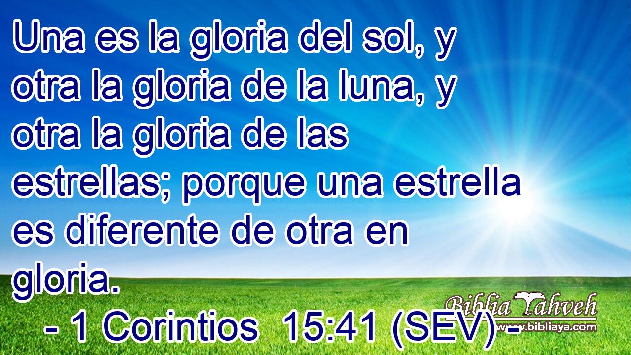 Una es la gloria del sol, y otra la gloria de la luna, y otra la gloria de las estrellas; porque una estrella es diferente de otra en gloria.