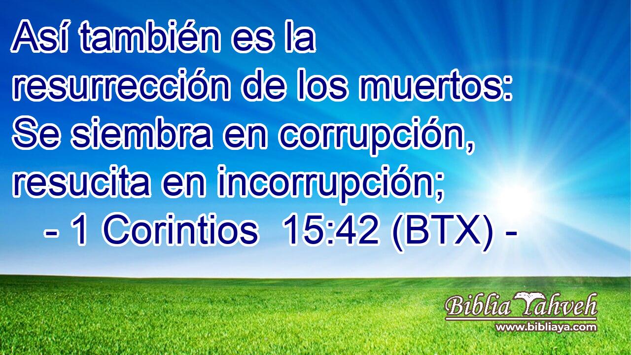 Así también es la resurrección de los muertos: Se siembra en corrupción, resucita en incorrupción;