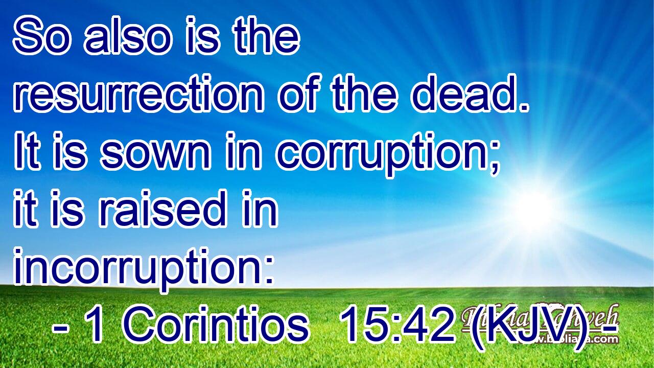So also is the resurrection of the dead. It is sown in corruption; it is raised in incorruption: