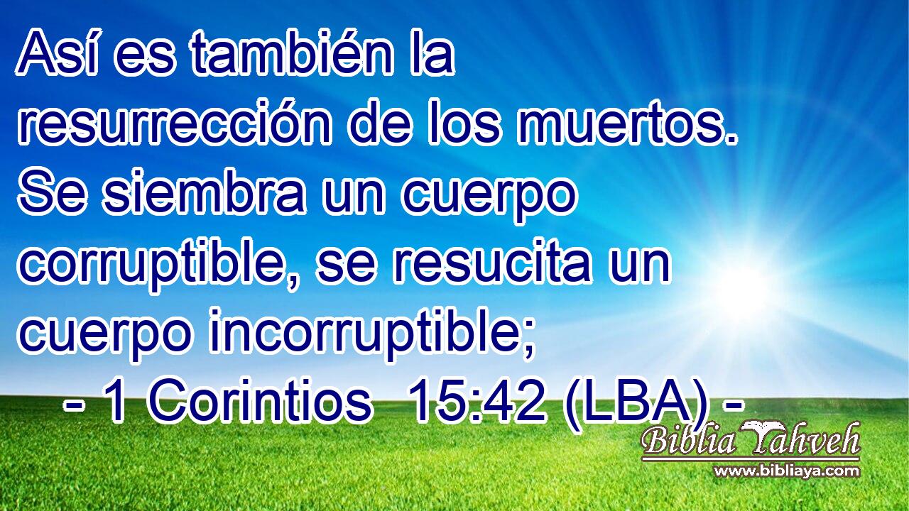 Así es también la resurrección de los muertos. Se siembra un cuerpo corruptible, se resucita un cuerpo incorruptible;