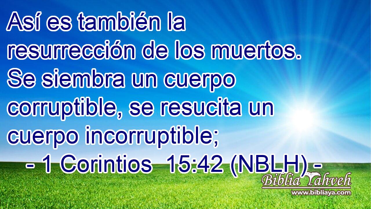  Así es también la resurrección de los muertos. Se siembra un cuerpo corruptible, se resucita un cuerpo incorruptible; 