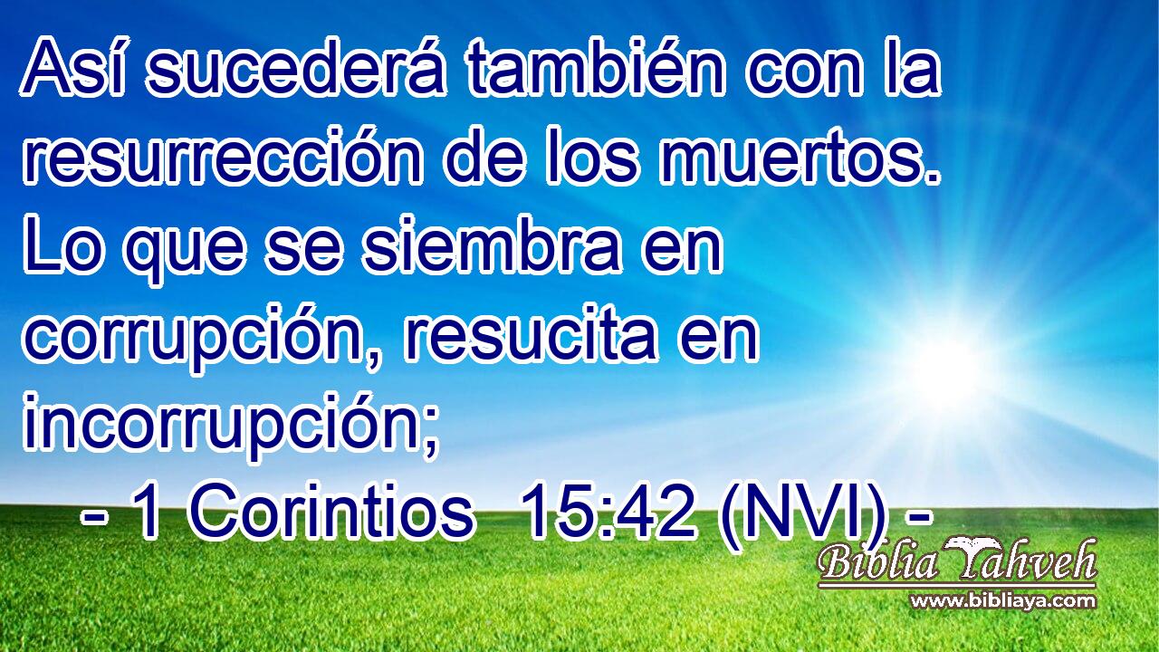  Así sucederá también con la resurrección de los muertos. Lo que se siembra en corrupción, resucita en incorrupción; 