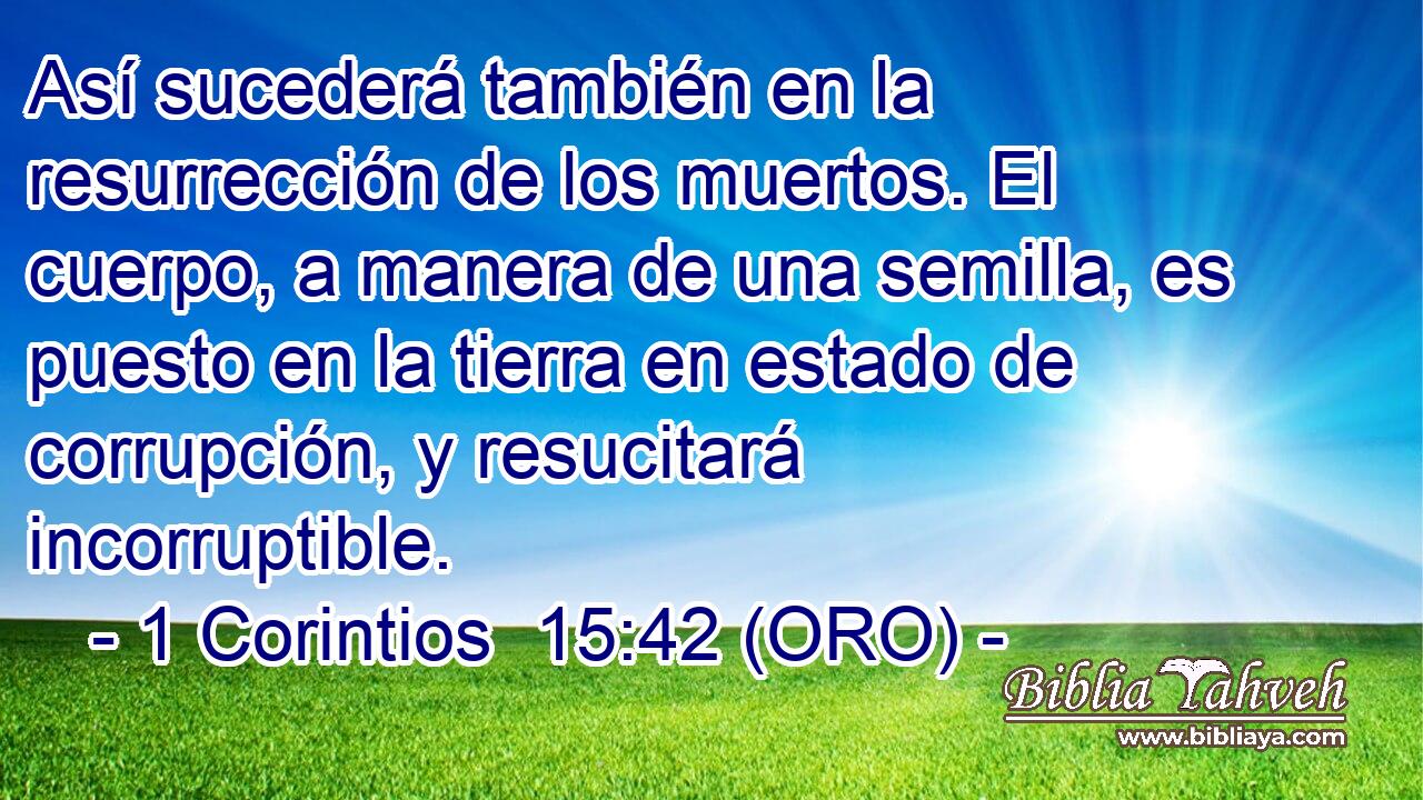  Así sucederá también en la resurrección de los muertos. El cuerpo, a manera de una semilla, es puesto en la tierra en estado de corrupción, y resucitará incorruptible. 