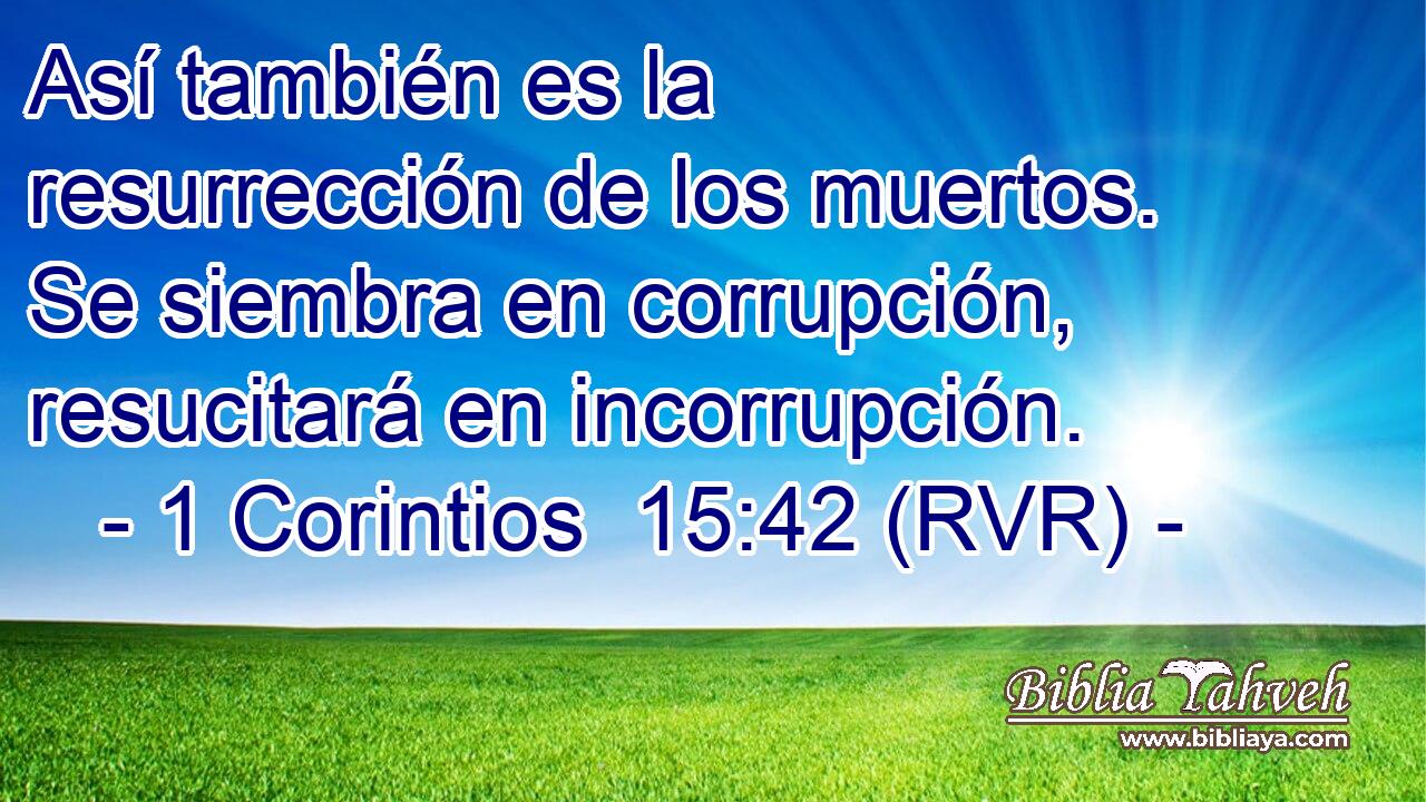 Así también es la resurrección de los muertos. Se siembra en corrupción, resucitará en incorrupción.