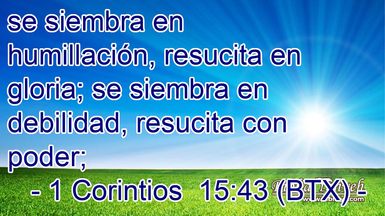 se siembra en humillación, resucita en gloria; se siembra en debilidad, resucita con poder;