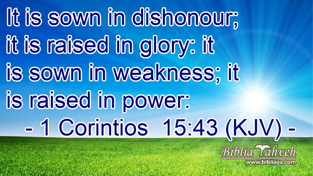 It is sown in dishonour; it is raised in glory: it is sown in weakness; it is raised in power: