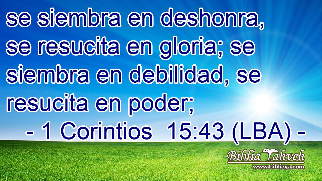 se siembra en deshonra, se resucita en gloria; se siembra en debilidad, se resucita en poder;