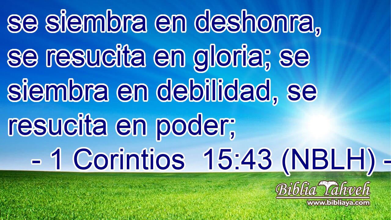  se siembra en deshonra, se resucita en gloria; se siembra en debilidad, se resucita en poder; 
