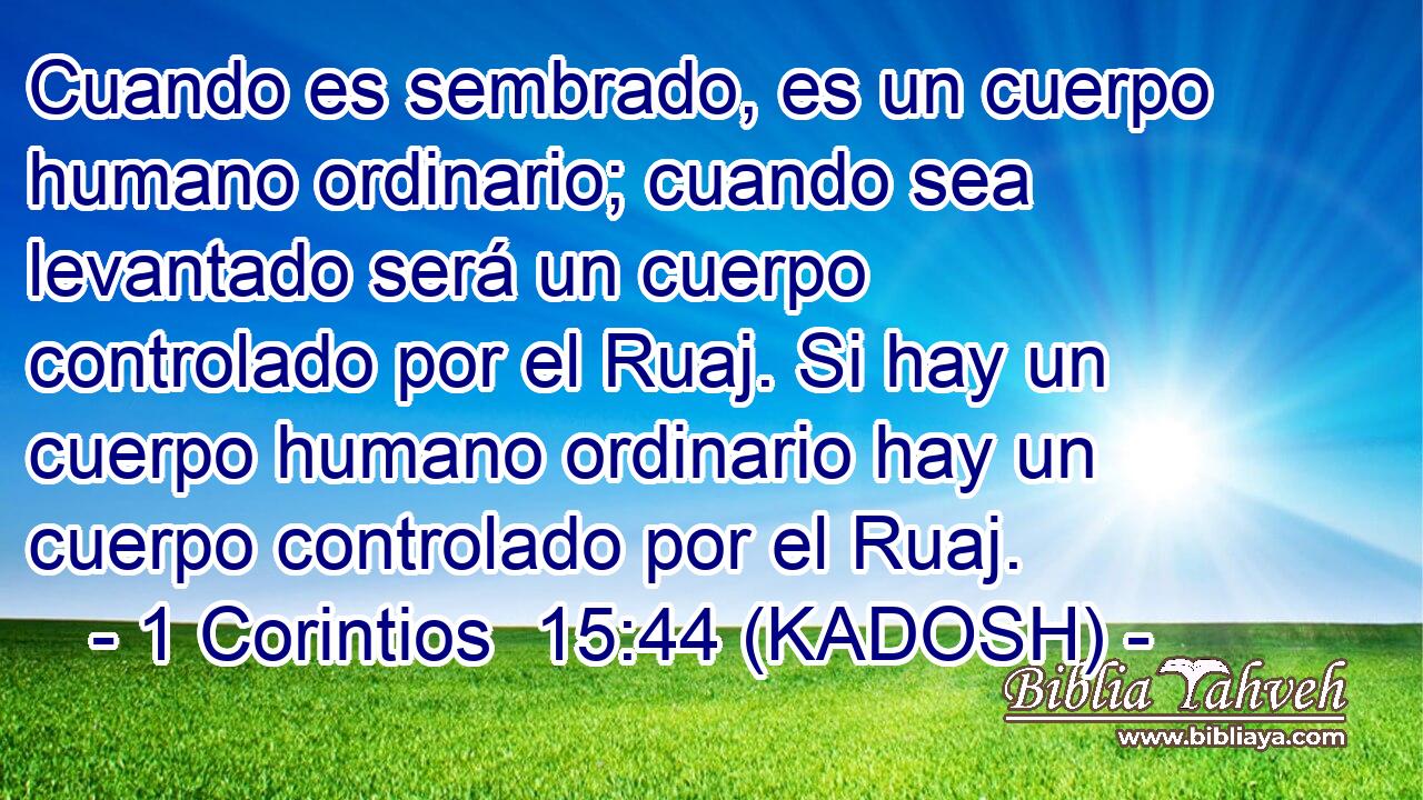  Cuando es sembrado, es un cuerpo humano ordinario; cuando sea levantado será un cuerpo controlado por el Ruaj. Si hay un cuerpo humano ordinario hay un cuerpo controlado por el Ruaj. 