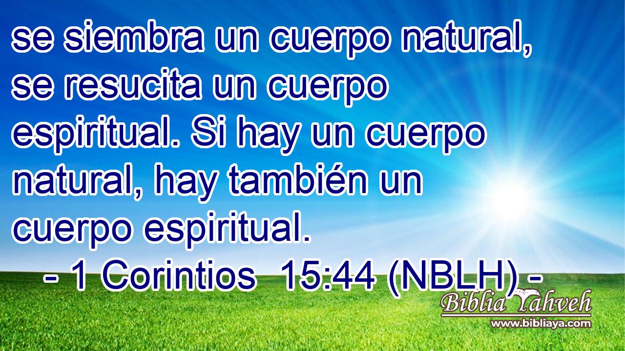  se siembra un cuerpo natural, se resucita un cuerpo espiritual. Si hay un cuerpo natural, hay también un cuerpo espiritual. 