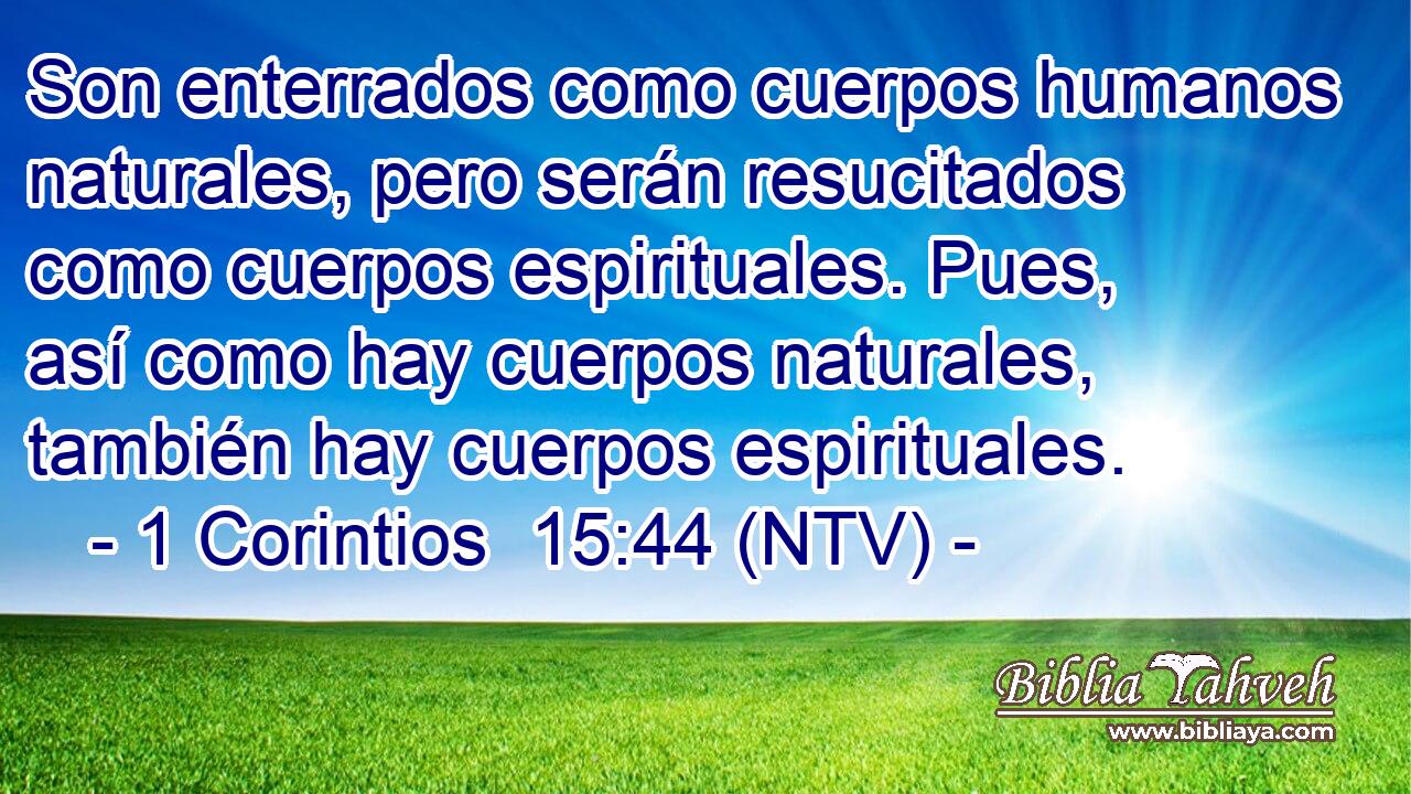 Son enterrados como cuerpos humanos naturales, pero serán resucitados como cuerpos espirituales. Pues, así como hay cuerpos naturales, también hay cuerpos espirituales.