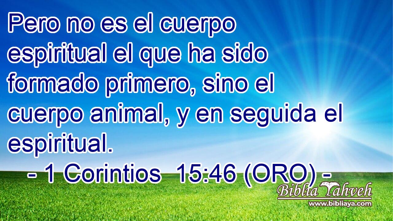  Pero no es el cuerpo espiritual el que ha sido formado primero, sino el cuerpo animal, y en seguida el espiritual. 