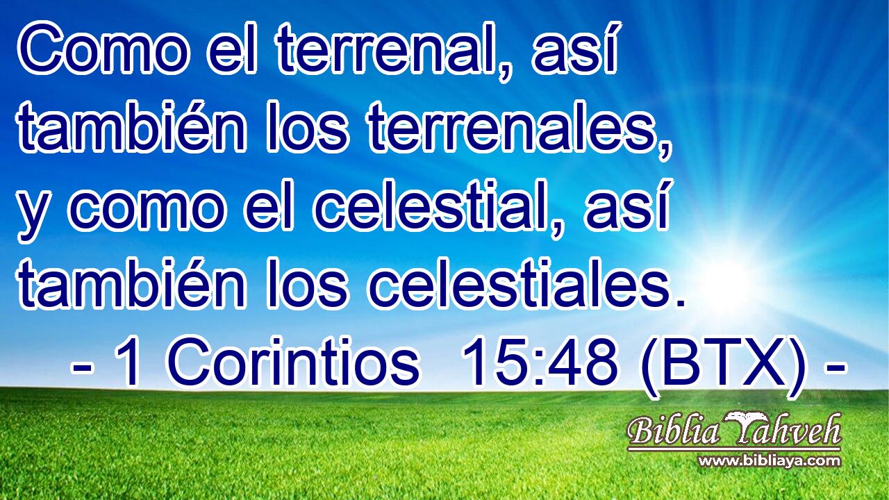 Como el terrenal, así también los terrenales, y como el celestial, así también los celestiales.