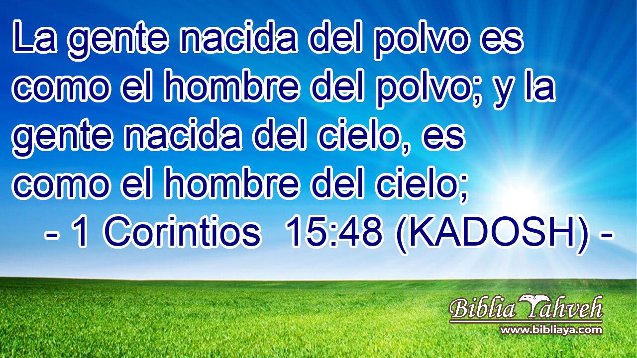  La gente nacida del polvo es como el hombre del polvo; y la gente nacida del cielo, es como el hombre del cielo; 