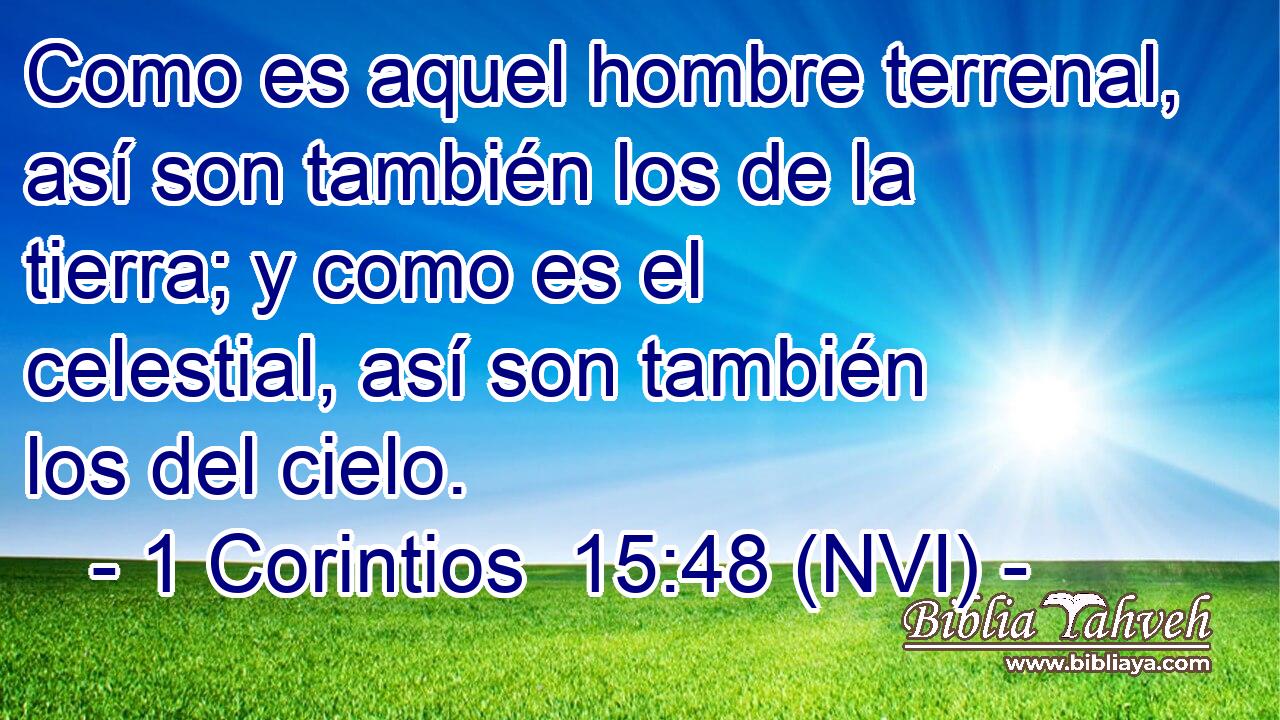  Como es aquel hombre terrenal, así son también los de la tierra; y como es el celestial, así son también los del cielo. 