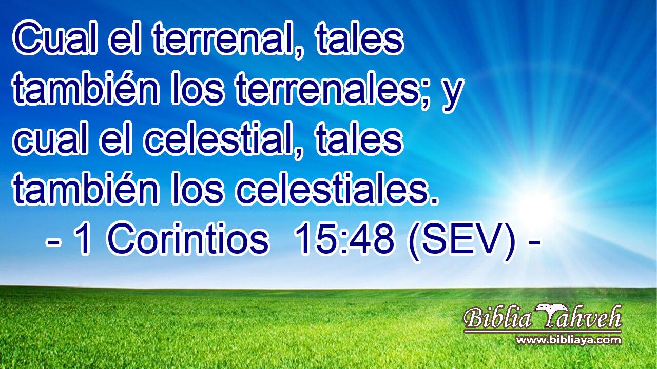 Cual el terrenal, tales también los terrenales; y cual el celestial, tales también los celestiales.