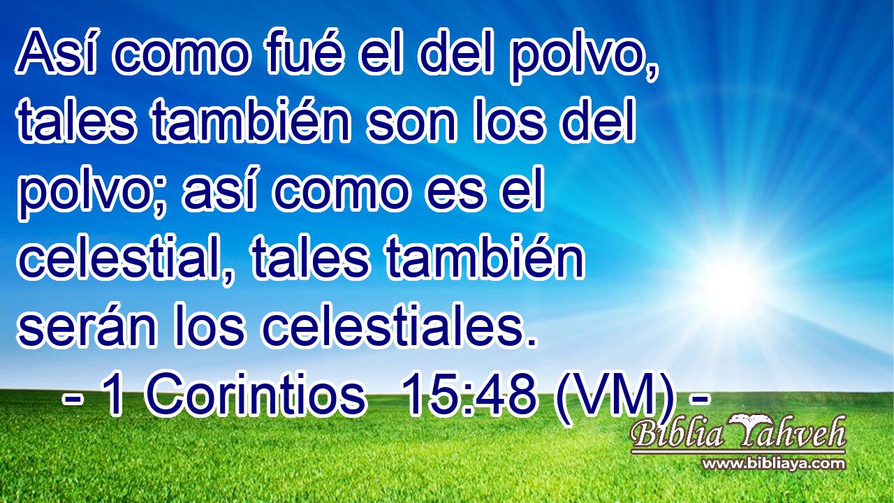  Así como fué el del polvo, tales también son los del polvo; así como es el celestial, tales también serán los celestiales. 