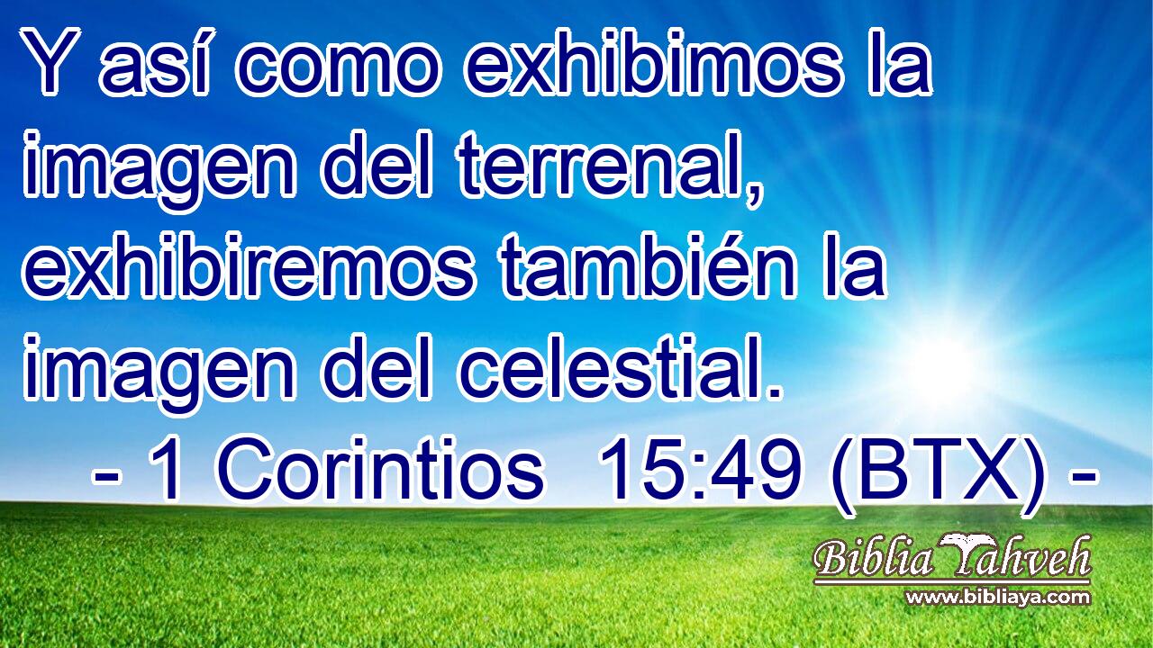 Y así como exhibimos la imagen del terrenal, exhibiremos también la imagen del celestial.