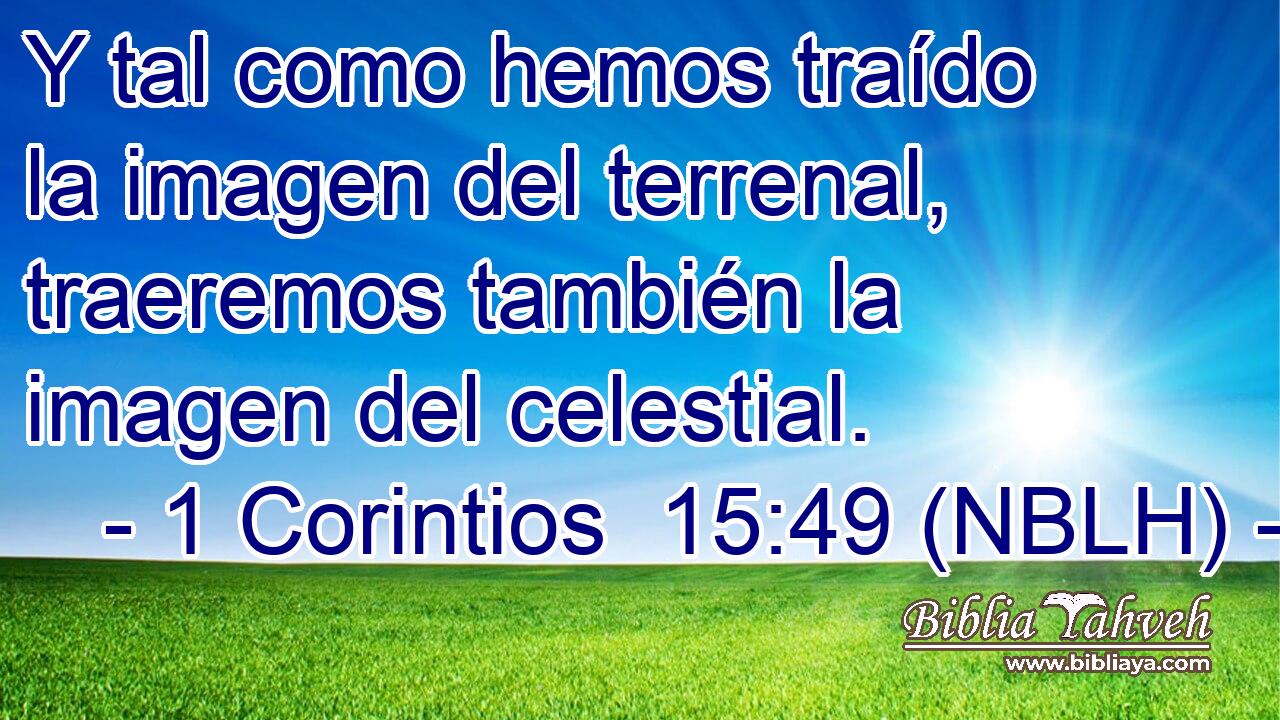  Y tal como hemos traído la imagen del terrenal, traeremos también la imagen del celestial. 