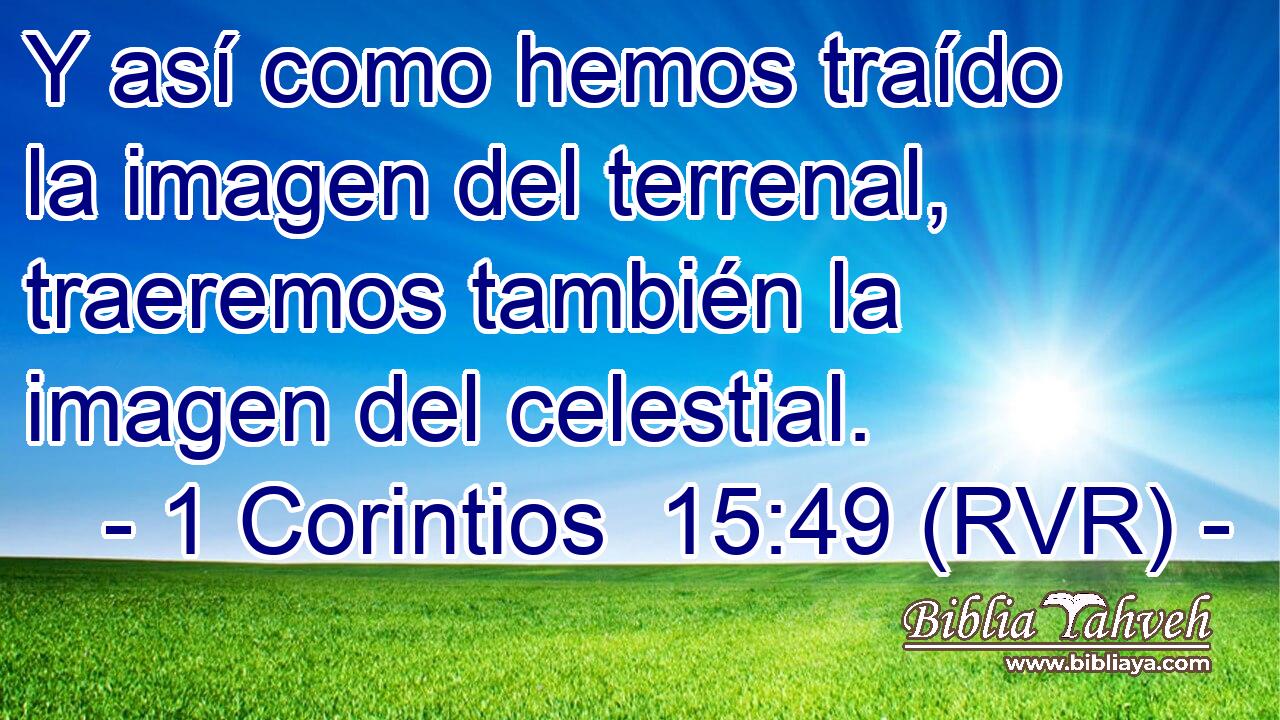 Y así como hemos traído la imagen del terrenal, traeremos también la imagen del celestial.