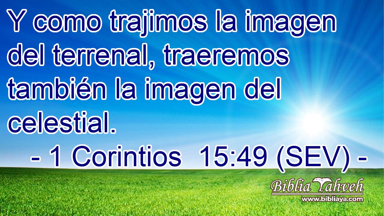 Y como trajimos la imagen del terrenal, traeremos también la imagen del celestial.