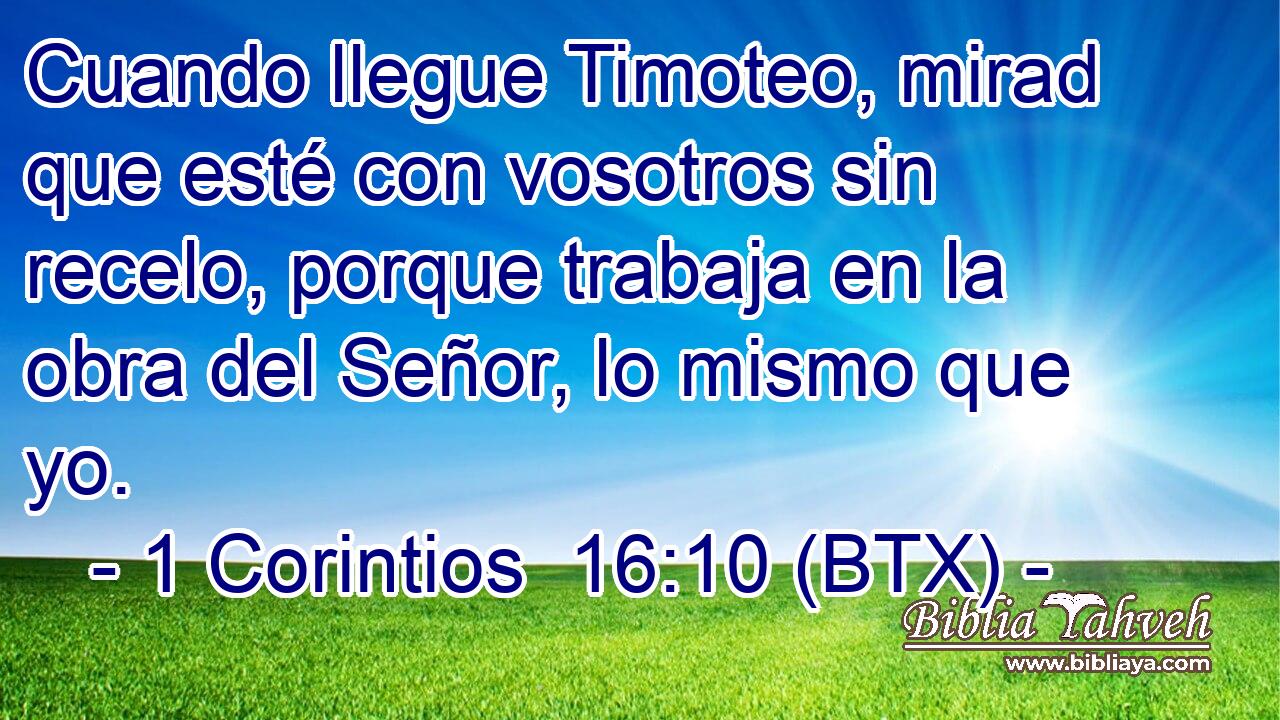 Cuando llegue Timoteo, mirad que esté con vosotros sin recelo, porque trabaja en la obra del Señor, lo mismo que yo.
